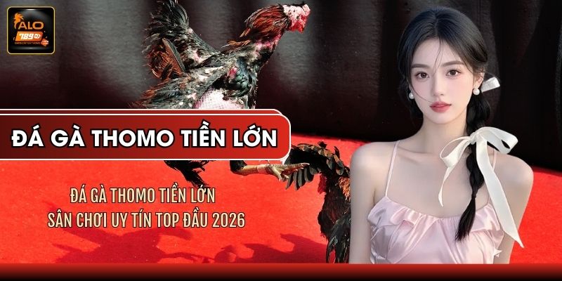 Đá Gà Thomo Tiền Lớn - Sân Chơi Uy Tín Top Đầu 2026