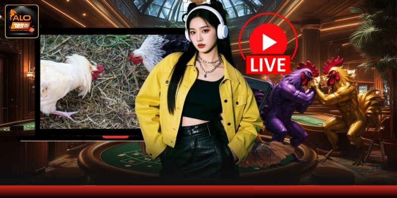 Ưu điểm vượt trội khi theo dõi gà đá online